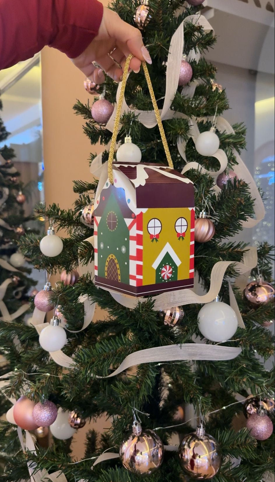 Christmas House Gift Package