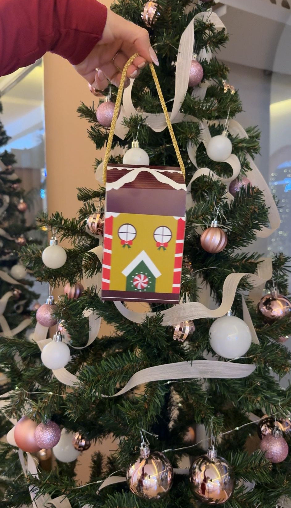 Christmas House Gift Package